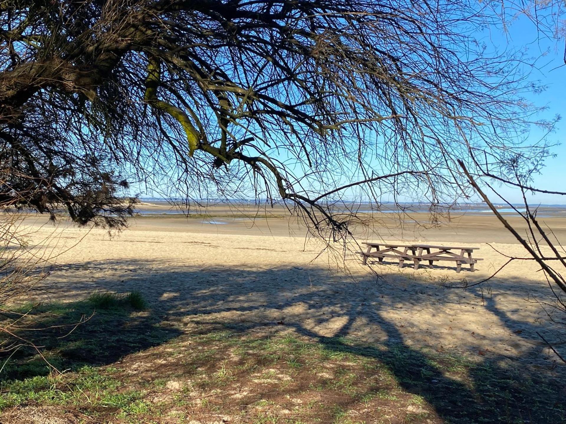 Charme & Confort- Les Cottages Du Bassin D'Arcachon- Petit-Dejeuner Sur Demande - Nuitee, Court Sejour, Semaine กูฌ็อง-เมสทราส ภายนอก รูปภาพ